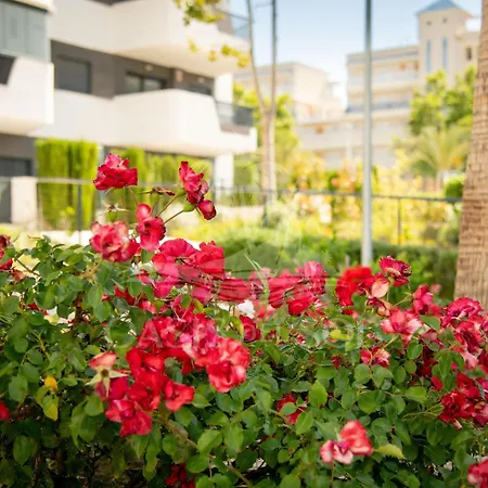 Sunny Place Oasis Del Sol Arenales del Sol
